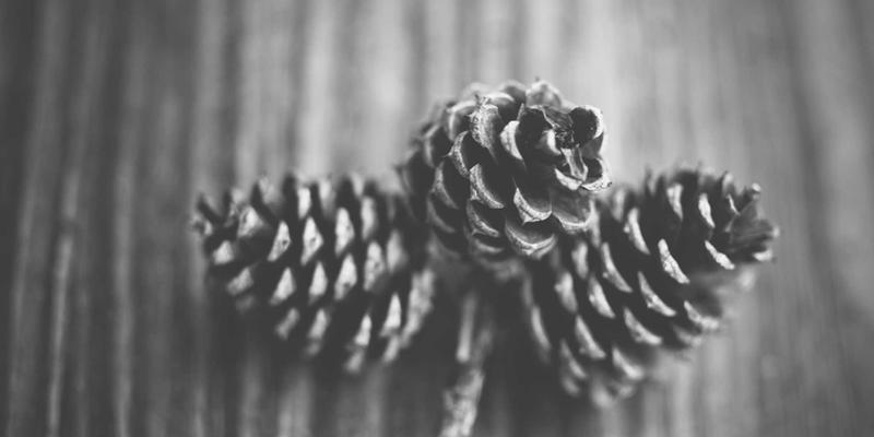 溧阳企业内训定制指南:三步精准选择数字技能与职业技能培训机构