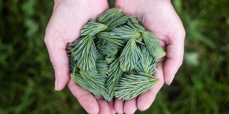 赋能未来教育:溧阳中小学教师专业发展与教学创新培训项目深度解析