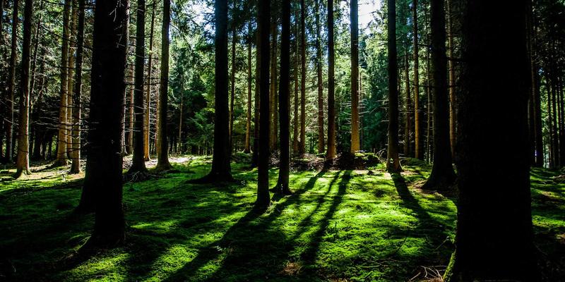 锻造专业力量：溧阳会展策划与运营管理人才培训，如何为城市经济注入新动能？